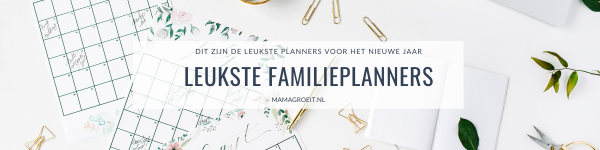 leukste familieplanners 2025